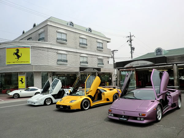画像大